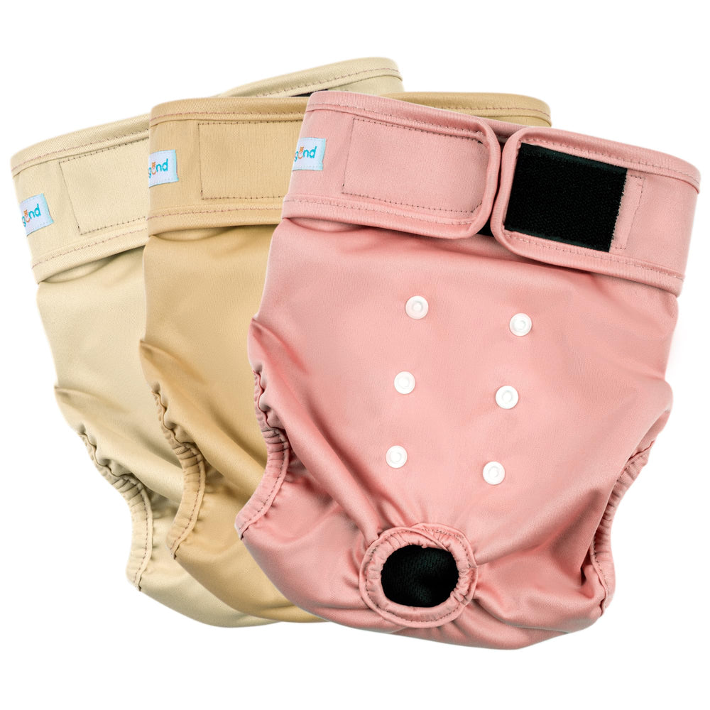 Paw Legend Panales para perras celo con ajuste de cintura para un uso cómodo.