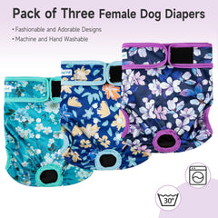 Paw Legend pañales para perras con cierre de velcro para ajuste seguro.