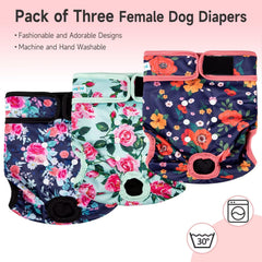 Paw Legend pañales para fase de celo canina con absorción alta.