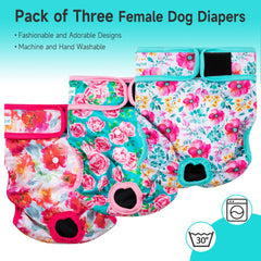 Paw Legend pañales para perro femenino grande, cierre trasero ajustable para ajuste personalizado