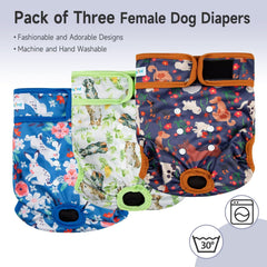 Paw Legend panales interior absorbente para mayor comodidad diaria