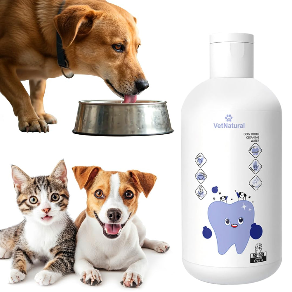 PawBright Dental Plus, botella de agua para higiene bucal diaria