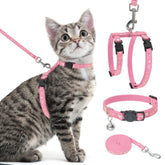 PAWCHIE arnés gato exterior: cómodo y seguro para paseos al aire libre.