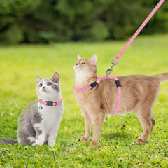 PAWCHIE correa para gato: longitud adecuada para exploraciones controladas.