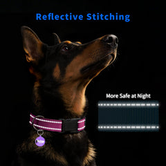 PawDuct collar con confort neopreno evita rozaduras durante el día.