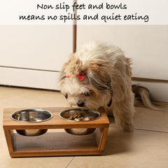 Pawfect Pets: altura de 4 pulgadas para facilitar la alimentación de perros pequeños.