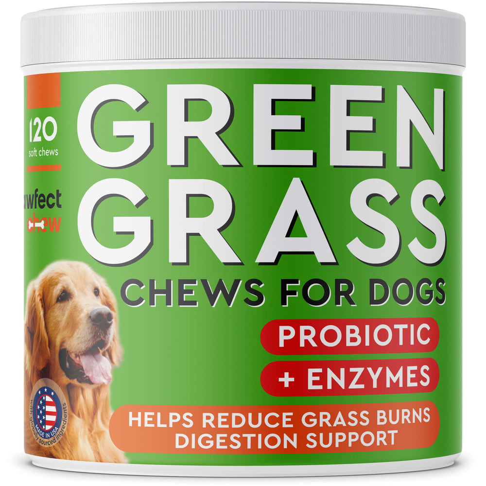 PAWFECTCHEW: bocado para pasto verde y sano, ideal para mantener el jardín libre de manchas