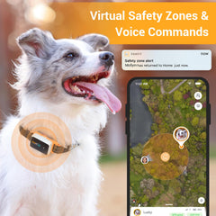 Pawfit alertas de seguridad y localización para mayor tranquilidad.