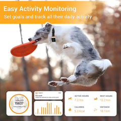 Pawfit monitor de actividad para rastrear pasos y tiempo activo.