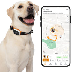Pawfit rastreador GPS 4G en vivo para perros con ubicación en tiempo real.