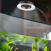 Pawfly luz led para acuario clip 6W ilumina tanque compacto con encendido suave