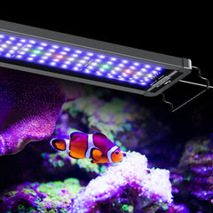 Pawfly, luz LED para acuario marino, espectro completo para corales y peces.