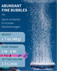 Pawfly en acuario pequeño, piedra de aire disc generando burbujas constantes para oxigenación.