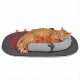 Pawfun manta auto calentante para gatos, conserva calor en días fríos.