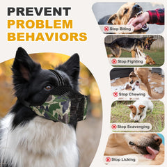 Mordaza Pawfun para talla grande, comodidad y control en paseos