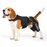 Pawfun órtesis de rodilla para perros, soporte estable para movilidad diaria.