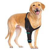 Protector codo Pawfun para perro derecho XL ofrece soporte articular cómodo