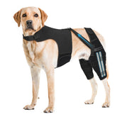 Pawfun rodillera para perros con chaleco antideslizante; soporte estable para paseos.