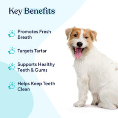 Pawfy aditivo dental para agua perro mejora higiene bucal diaria.