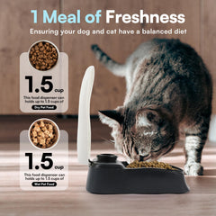 PAWISE paquete de hielo, mantiene la comida fresca para un servicio prolongado.