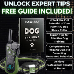 PAWPRO collar con 4 modos inteligentes para avisos, vibración y luz