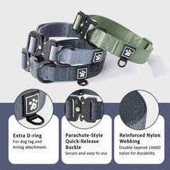 PAWS PASSION collar con anilla D adicional para etiqueta o contacto.