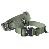 PAWS PASSION collar grande con hebilla de metal, ideal para paseos activos y seguros.