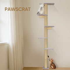 PAWSCRAT 80 pulgadas de altura: observa y se siente seguro.