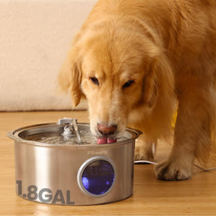 PAWSPIK fuente para perros en acero inoxidable, duradera y fácil de limpiar.
