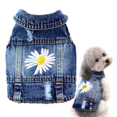 Pawstrip jaqueta denim perro bordado Margarita, perfecto para salidas diarias.