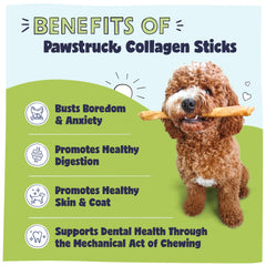 Empaque Pawstruck 5 unidades, snack natural para perros