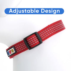 Hebilla resistente del collar Pawtitas para un ajuste seguro.