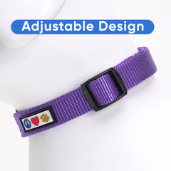 Pawtitas collar grande color púrpura para estilo y fácil identificación.
