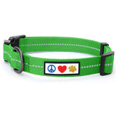 Pawtitas collar reciclado de botellas, visibilidad para paseos nocturnos