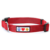 Collar reflectante Pawtitas para perros pequeños, visibilidad nocturna mejorada.