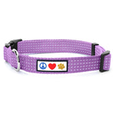 Collar reflectante Pawtitas para perro pequeño en Orquídea púrpura, mejora visibilidad nocturna