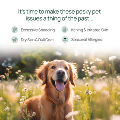 pawTree Aceite de salmón, dosificación en gotas, fácil de administrar para mascotas