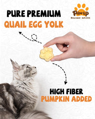 PAWUP calabaza seca, fibra natural para digestion suave