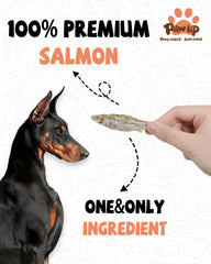PAWUP Salmón crujiente, textura atractiva para entrenamiento suave.