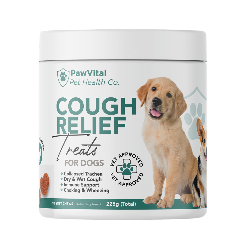 PawVital envase de medicina para tos perros, fácil de usar y almacenar.