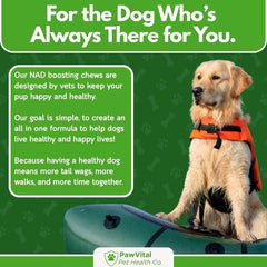 PawVital NAD+ Chews empaque sin artificios, sin sabores artificiales.