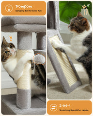 PAWZ Road bolas reemplazables para juego interactivo seguro.