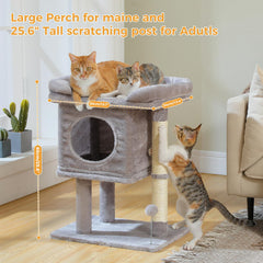 PAWZ Road árbol para gatos: bola de resorte para juego activo