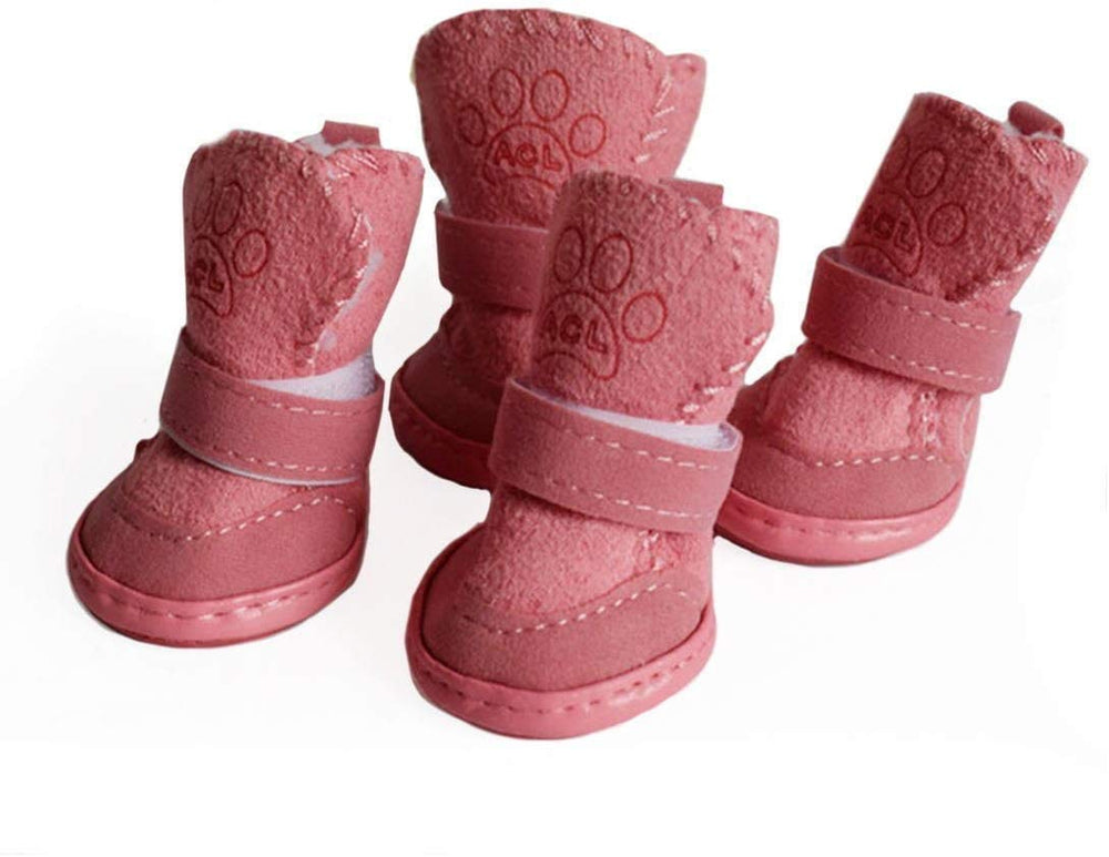 Payanwin botas para perro anti deslizantes en primer plano protegiendo patas