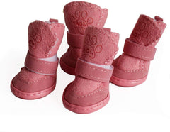 Payanwin botas para perro anti deslizantes en primer plano protegiendo patas