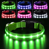 PcEoTllar collar iluminado para perro, visión frontal mejorada durante paseos nocturnos