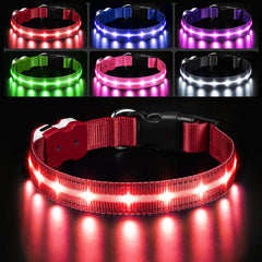 PcEoTllar collar LED con luz nocturna para perros, mayor visibilidad