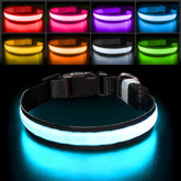 PcEoTllar collar luz arcoiris para perros mejora la visibilidad nocturna.