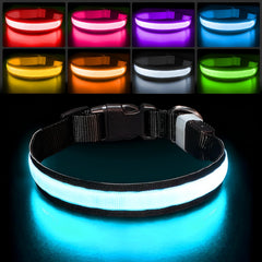 PcEoTllar collar luz arcoiris para perros mejora la visibilidad nocturna.