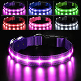 PcEoTllar collar luz LED para perro mejora visibilidad nocturna durante paseos